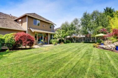 7 melhores árvores para plantar em um pequeno jardim