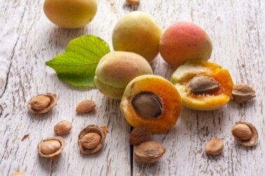 Curiosidades sobre o caroço de damasco
