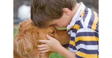 Especialista animal orienta pais na procura por cães como companheiros de crianças com necessidades específicas