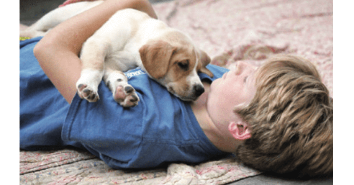 Especialista animal orienta pais na procura por cães como companheiros de crianças com necessidades específicas