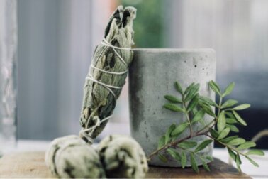 Aprenda a purificar sua casa com a planta sálvia
