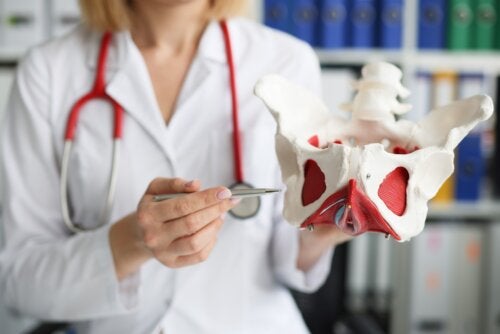 Pessário vaginal: tipos, cuidados e riscos