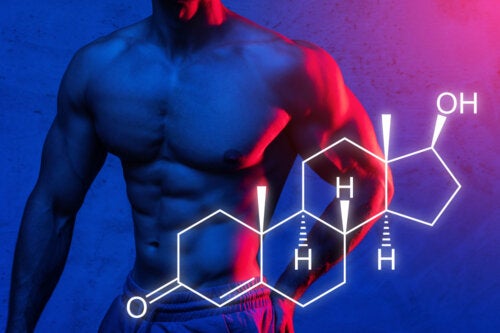 Síntese proteica: explicamos como você pode maximizar o ganho de massa muscular