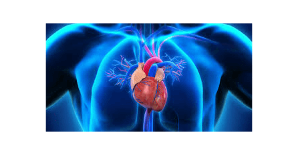 Mulher levou 10 anos até descobrir doença cardíaca: “Diziam que era ansiedade”