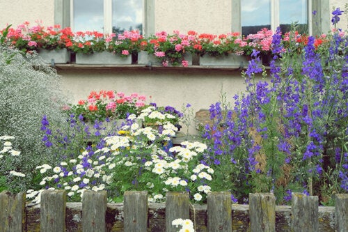 10 plantas com flores altas para dar verticalidade ao seu jardim