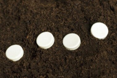 A aspirina é usada para ajudar a enraizar as plantas?