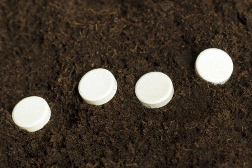 A aspirina é usada para ajudar a enraizar as plantas?