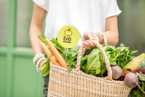 Alimentos éticos: características, princípios e benefícios