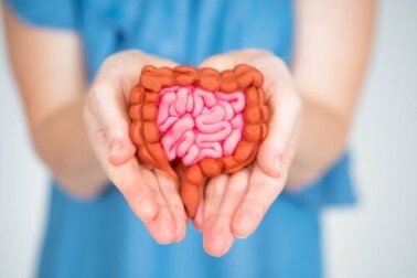 Cuidar da microbiota ajuda a melhorar os sintomas da menopausa