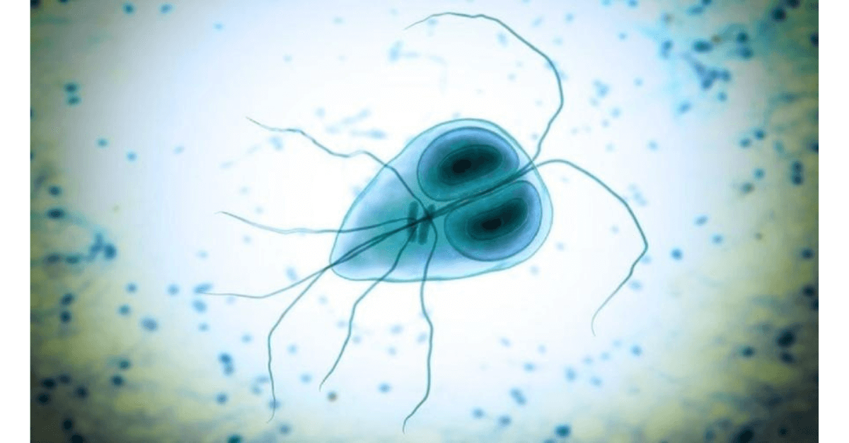 Dia Mundial da Higiene das Mãos: conheça 10 doenças que você pode evitar com a lavagem correta