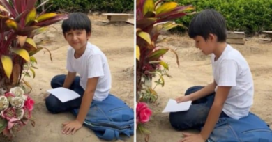 Comovente: Menino faz tarefas escolares diante do túmulo da mãe para mostrar a ela suas boas notas