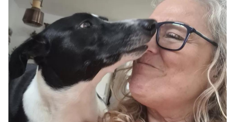 Cadela salva vida de sua tutora ao farejar um câncer de mama