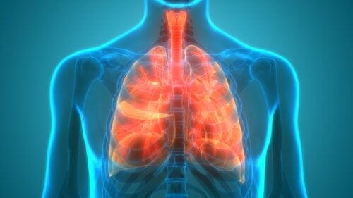 Microbioma pulmonar: os pulmões são estéreis?
