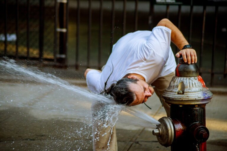 Temperaturas extremas batem recordes e obrigam-nos a tomar estes 7 cuidados