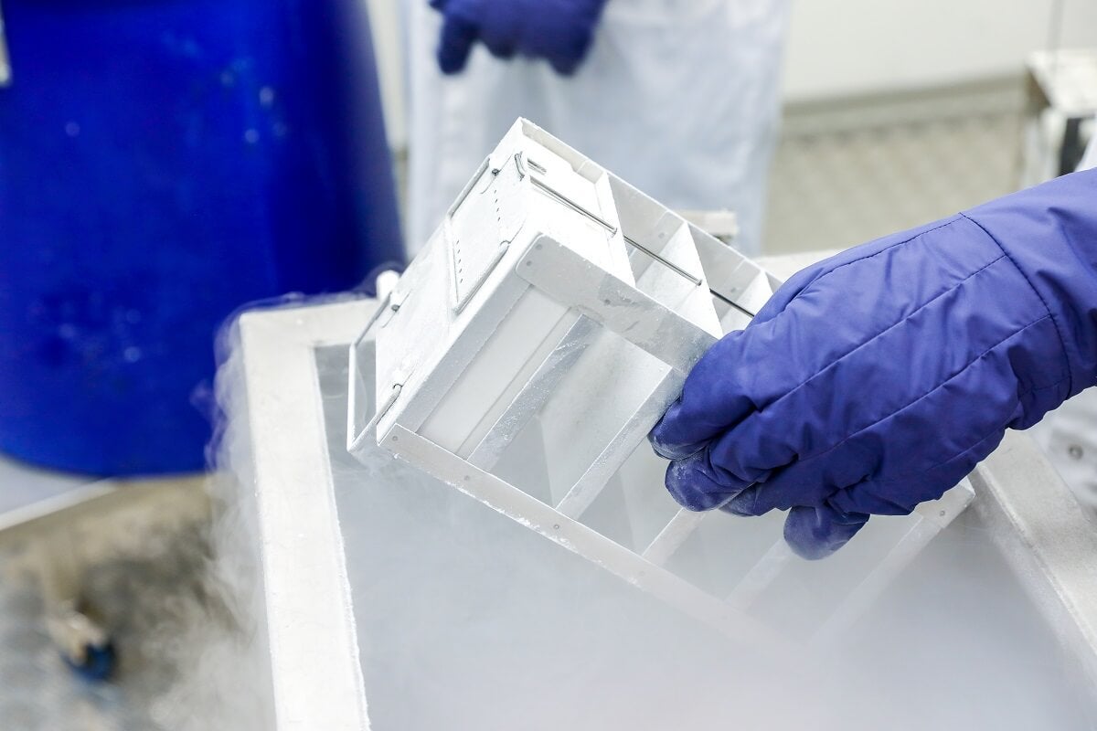 Funcionário da limpeza destrói 20 anos de pesquisa científica ao desconectar um freezer