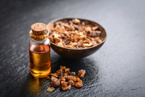 Usos, benefícios e precauções do óleo de mirra