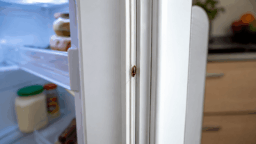 5 sinais da presença de baratas na vedação da geladeira e como eliminá-las