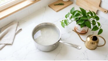 Água do macarrão para regar plantas: quando usá-la e quando evitá-la