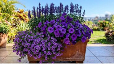 5 plantas com flores roxas para dar um toque de cor às suas floreiras