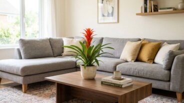 Guzmania no verão: como cuidar da água da sua roseta para que ela continue bonita
