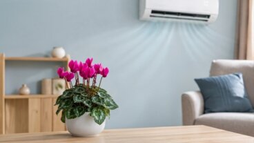 5 plantas com flores que toleram o ar-condicionado sem perder seu charme