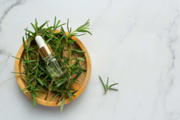 Tome esse banho aromático com alecrim para começar a semana com energia renovada